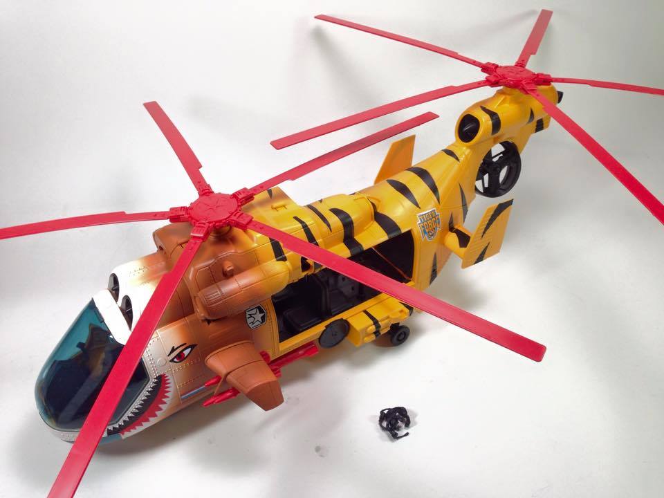 Joe Con 2015 Tiger Hawk